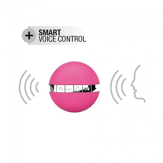 Виброяйце Dorcel Secret Delight з пультом ДК, з турборежимом і голосовим керуванням