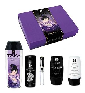 Подарунковий набір Shunga Naughtier Kit, 5 продуктів для інтимної стимуляції
