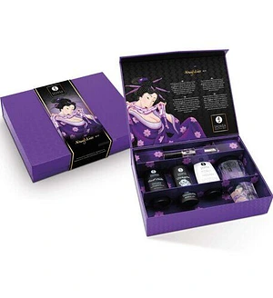 Подарунковий набір Shunga Naughtier Kit, 5 продуктів для інтимної стимуляції