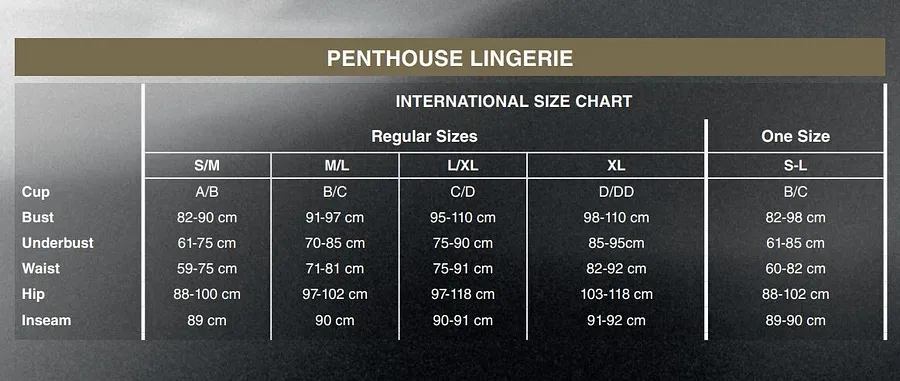 Боді Penthouse Salute Me XL Black (дефекти на пакованні)