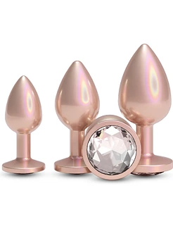 Набір анальних пробок NS Novelties Rear Assets - Trainer Kit - Iridescent Champagne - Clear Gem