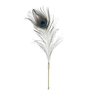 Лоскітка LOCKINK SEVANDA Natural Peacock Flirting Feather Tickler, пір’я павича та страуса
