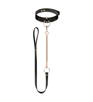 Нашийник з повідцем Rosy Gold - Collar with Leash - Black